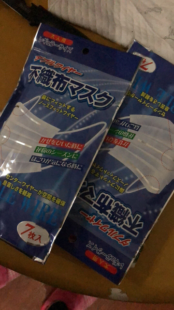 nippon mask 大人防菌防尘口罩 7枚×28